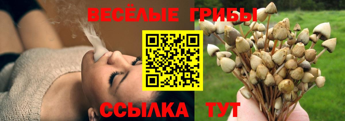 Галлюциногенные грибы Cubensis  Галлюциногенные грибы Psilocybe  Вход с VPN  Ливны 